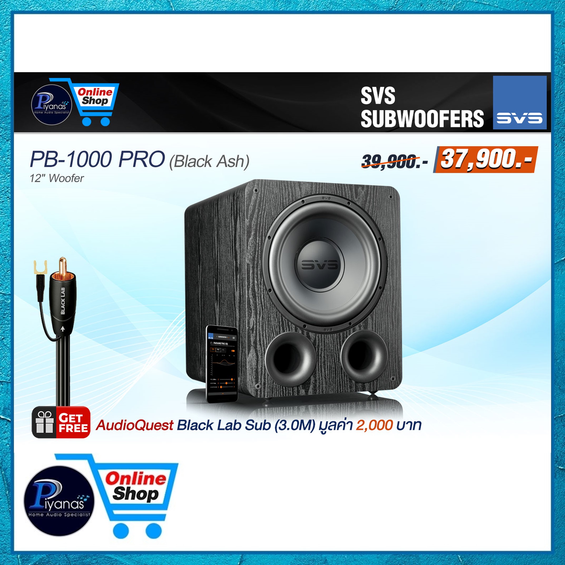 ซับวูฟเฟอร์ SVS : PB-1000 PRO (BLACK ASH)_5